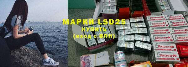 ПСИЛОЦИБИНОВЫЕ ГРИБЫ Алексин